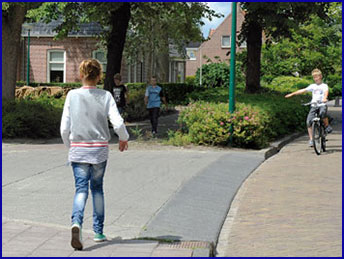 przechodzi przez jezdnię